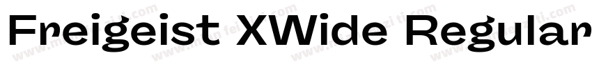 Freigeist XWide Regular字体转换
